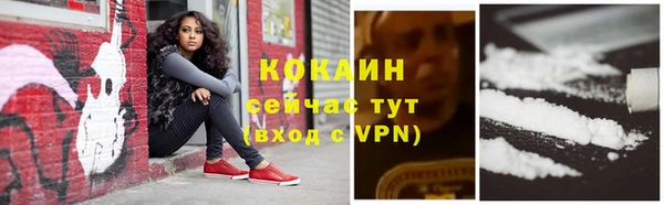стаф Балахна