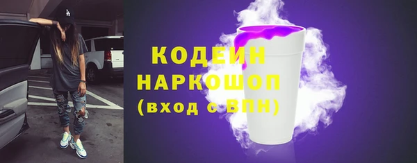 шишки Баксан