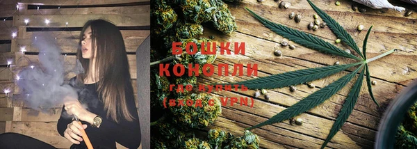 шишки Баксан