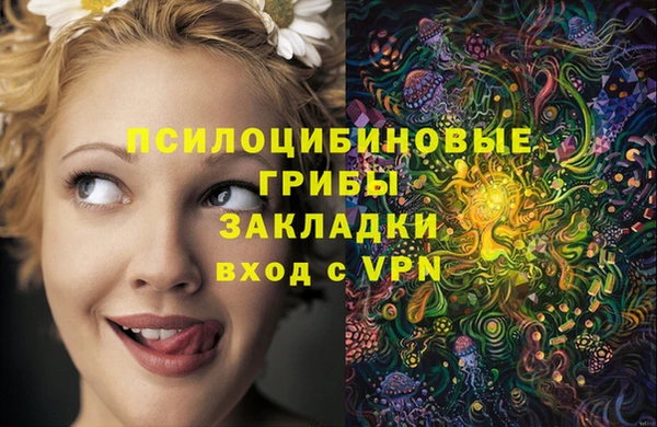 дурь Пересвет