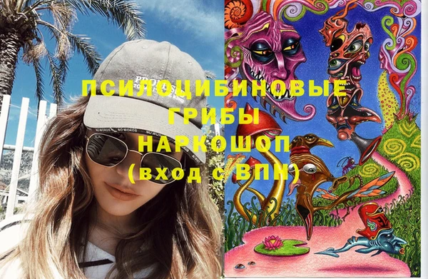 стаф Балахна