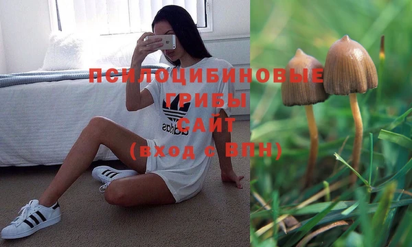 стаф Балахна
