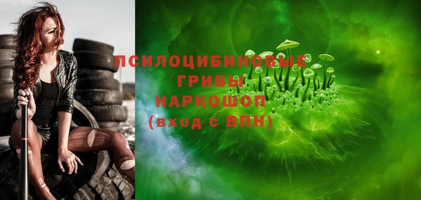 шишки Баксан