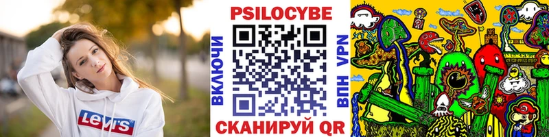 Псилоцибиновые грибы прущие грибы  Гаврилов Посад 